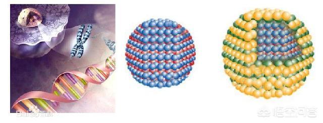 你認為AI是技術(shù)的未來(lái)還是量子是技術(shù)的未來(lái)？