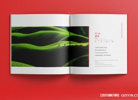 聚焦上海！企業(yè)畫冊印刷定制，助力品牌高效傳播