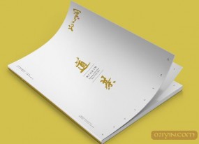 公司畫(huà)冊設計需要注意些什么？