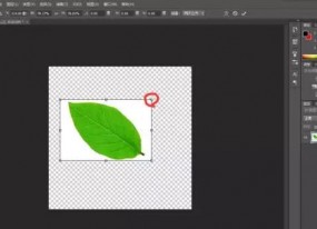 photoshop怎樣調整圖片尺寸和大??？