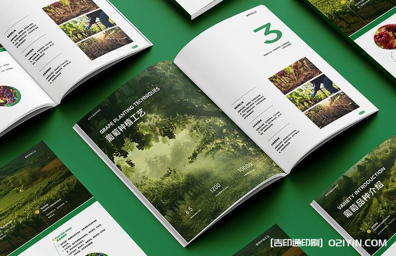 上海企業(yè)畫冊印刷專家：從設(shè)計到成品，一站式品質(zhì)服務(wù)